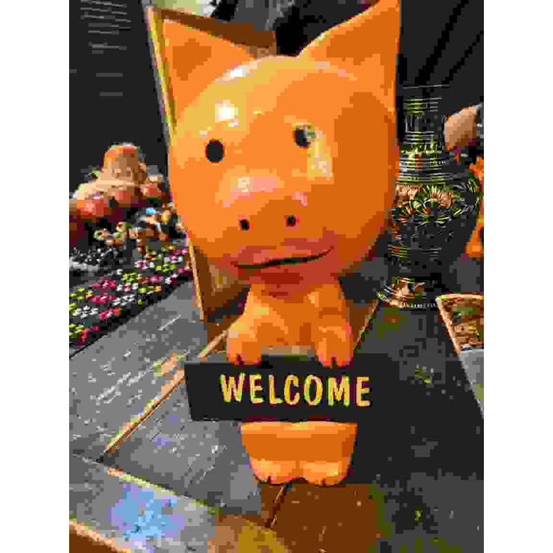 Хрюшка welcome